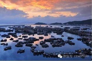 阳江闸坡新闻爆料,揭秘当地最新动态与热点事件 第3张 阳江闸坡新闻爆料,揭秘当地最新动态与热点事件 第3张