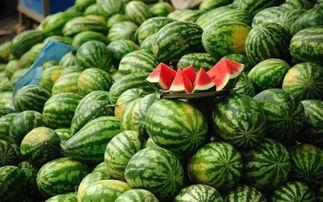 北美网红吃瓜事件真相揭秘,揭秘背后真相与真相背后的真相  第1张